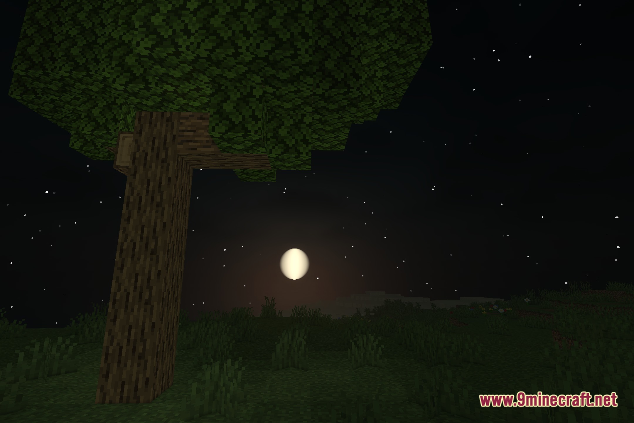 Musk Rose Je Shaders Screenshot 3