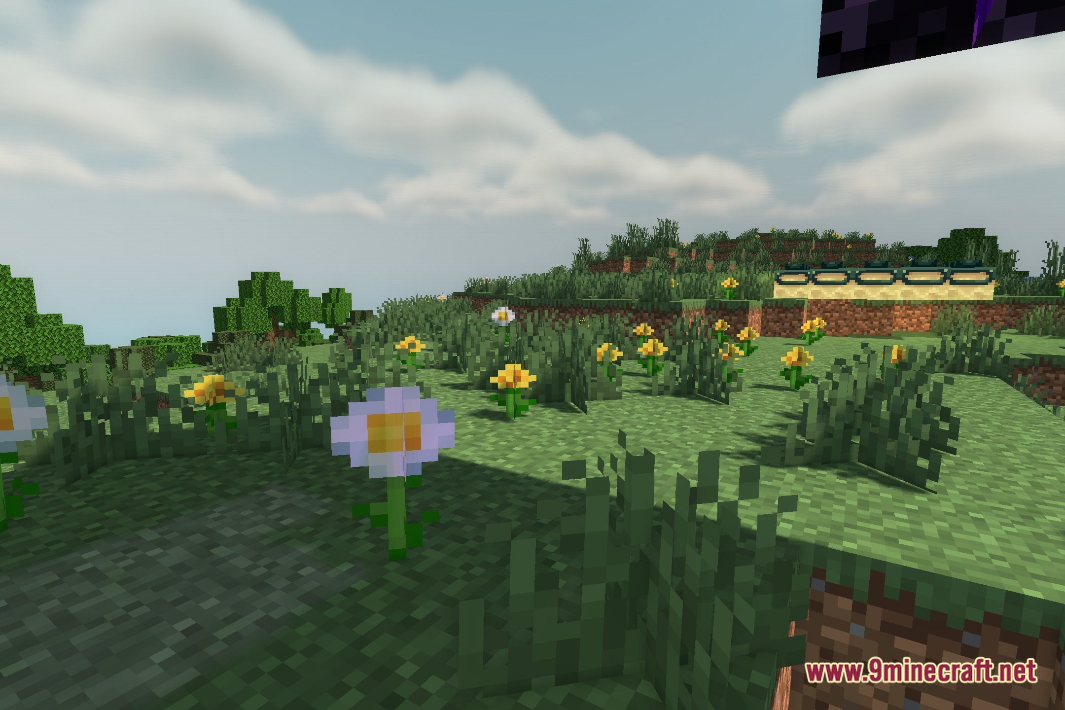 Musk Rose Je Shaders Screenshot 4