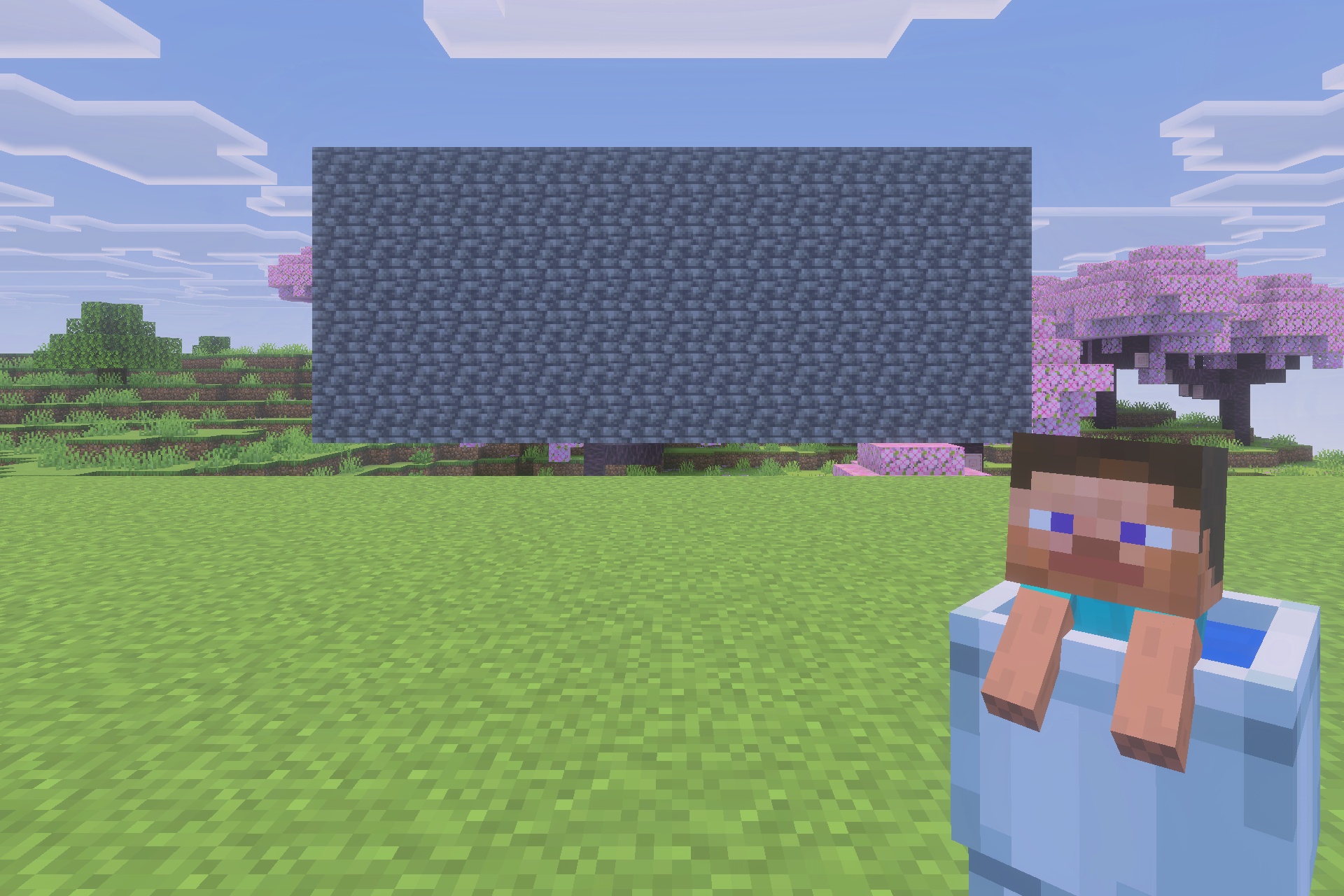 My Totem Doll 3d Texture Pack Screenshot 1 Player holding a custom 3D Steve totem doll in front of stone blocks