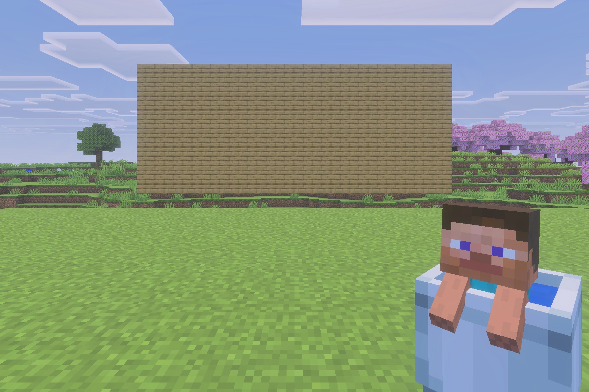 My Totem Doll 3d Texture Pack Screenshot 2 Player holding a custom 3D Steve totem doll in front of wooden planks