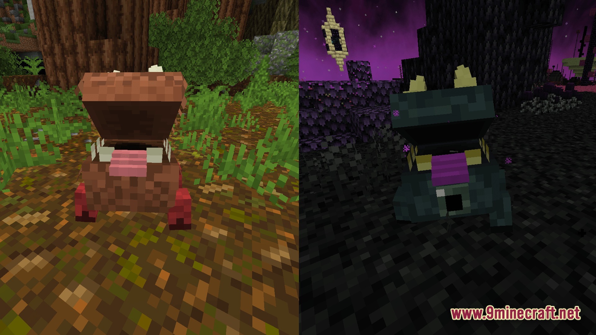 Two different colored variants of a small, wide-mouthed creature standing in forest and void biomes