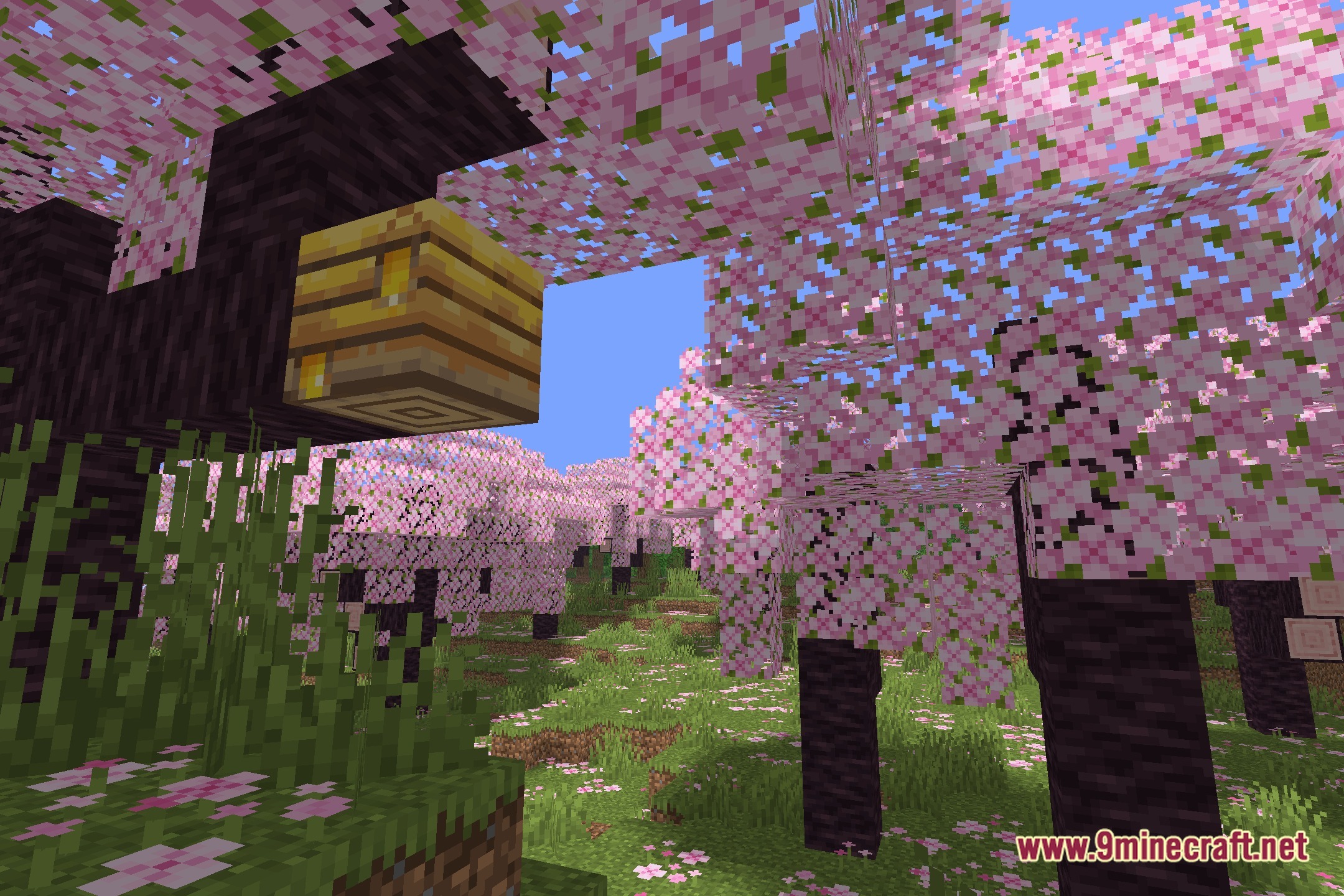 NEXA LowShader Screenshot 1
