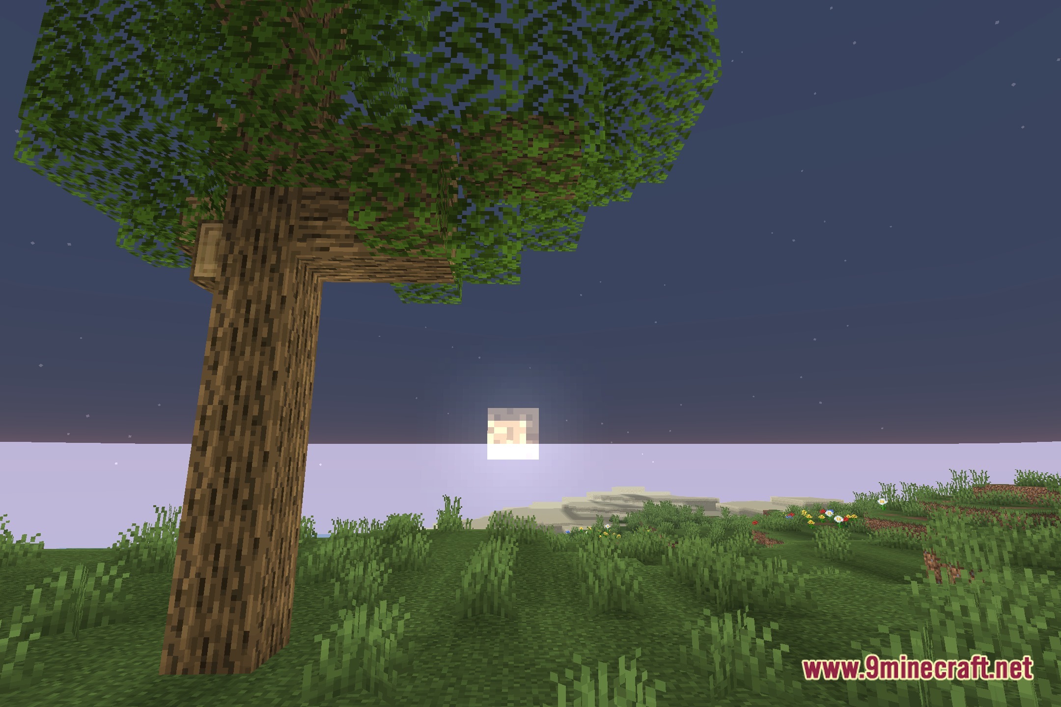 NEXA LowShader Screenshot 4