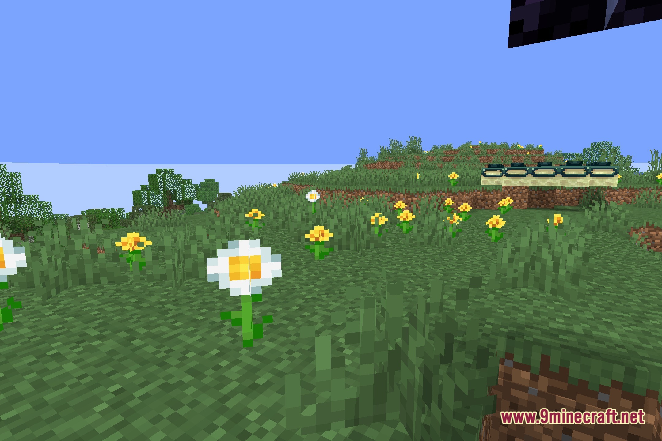 NEXA LowShader Screenshot 5