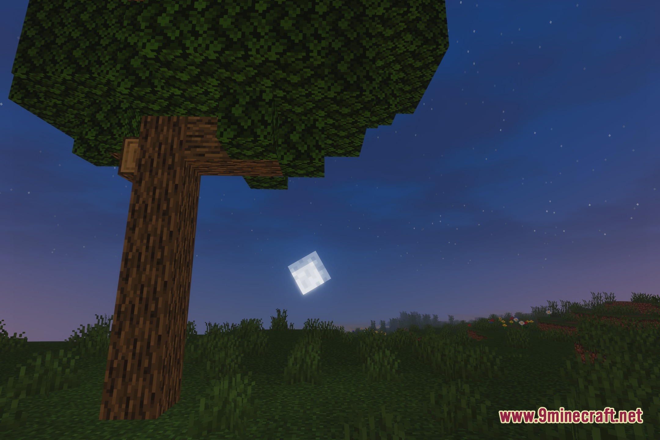 NPC Shaders Screenshot 4