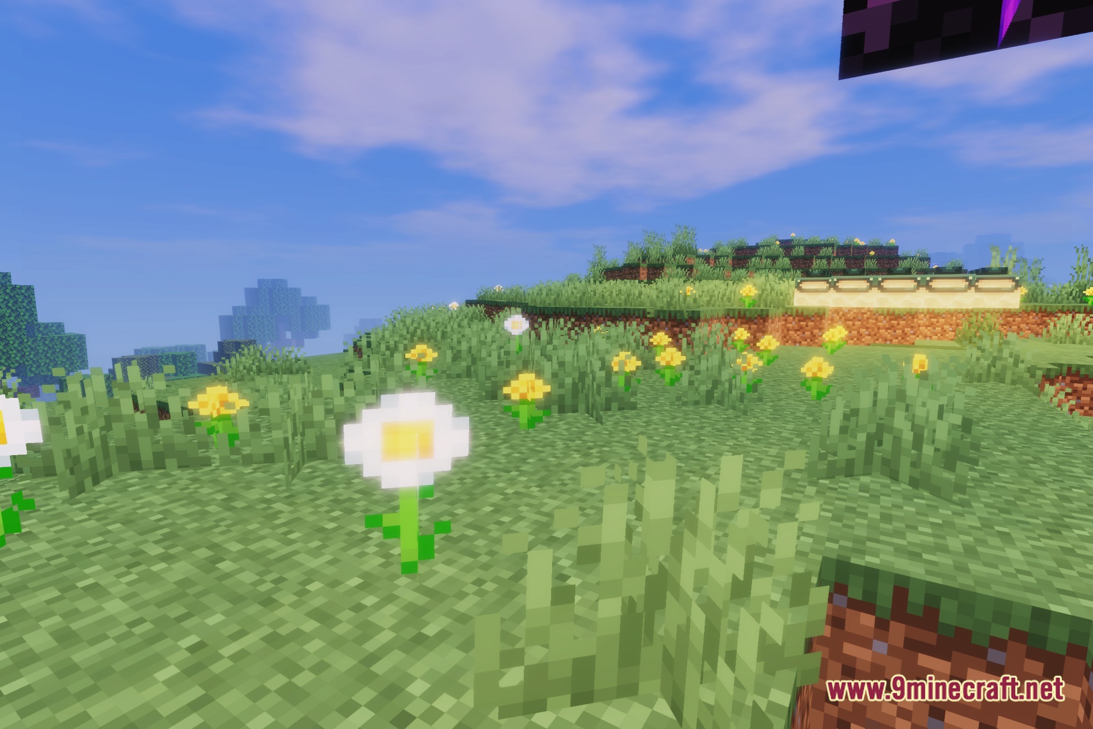 NPC Shaders Screenshot 5