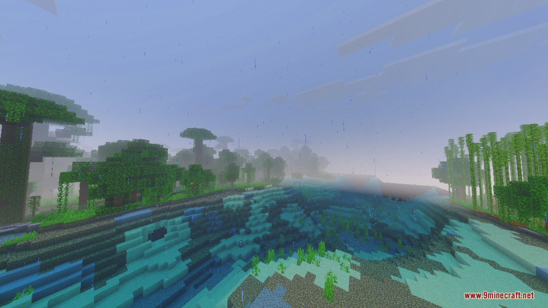 NR enhances the soft natural lighting in a rainy bamboo jungle