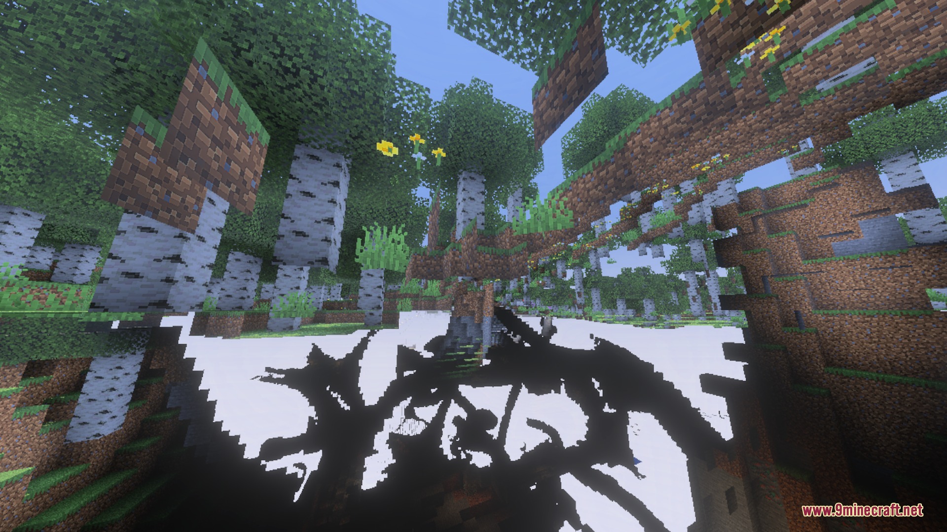 Dense birch forest with floating blocks and high contrast shadows in lush environment