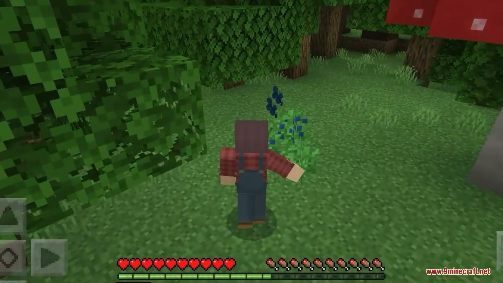 Nature Expasion Addon Screenshot 2 Nature Expasion Addon Screenshot 2