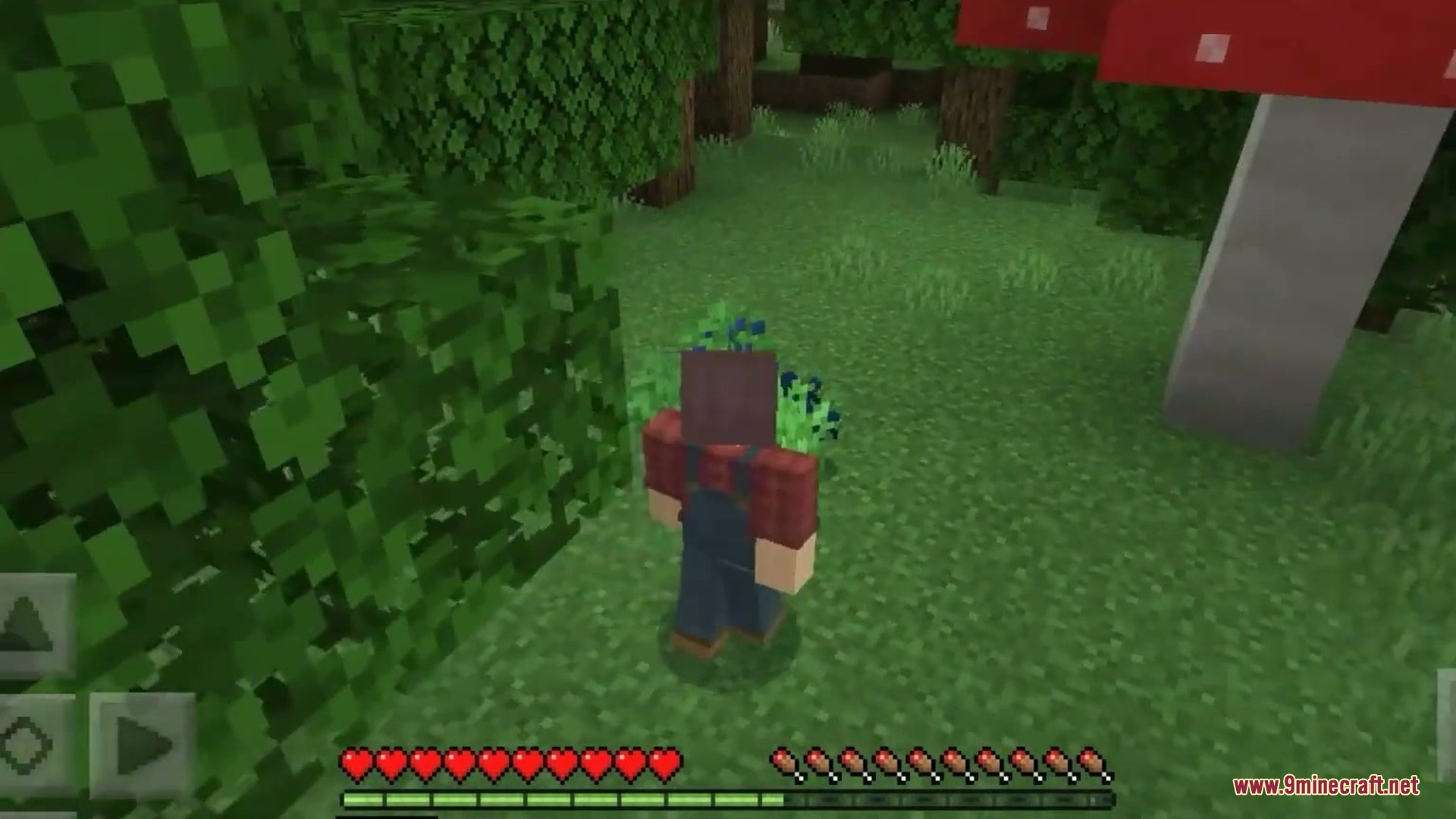 Nature Expasion Addon Screenshot 3 Nature Expasion Addon Screenshot 3