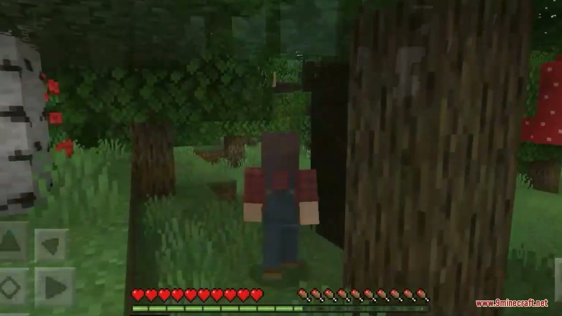 Nature Expasion Addon Screenshot 5 Nature Expasion Addon Screenshot 5