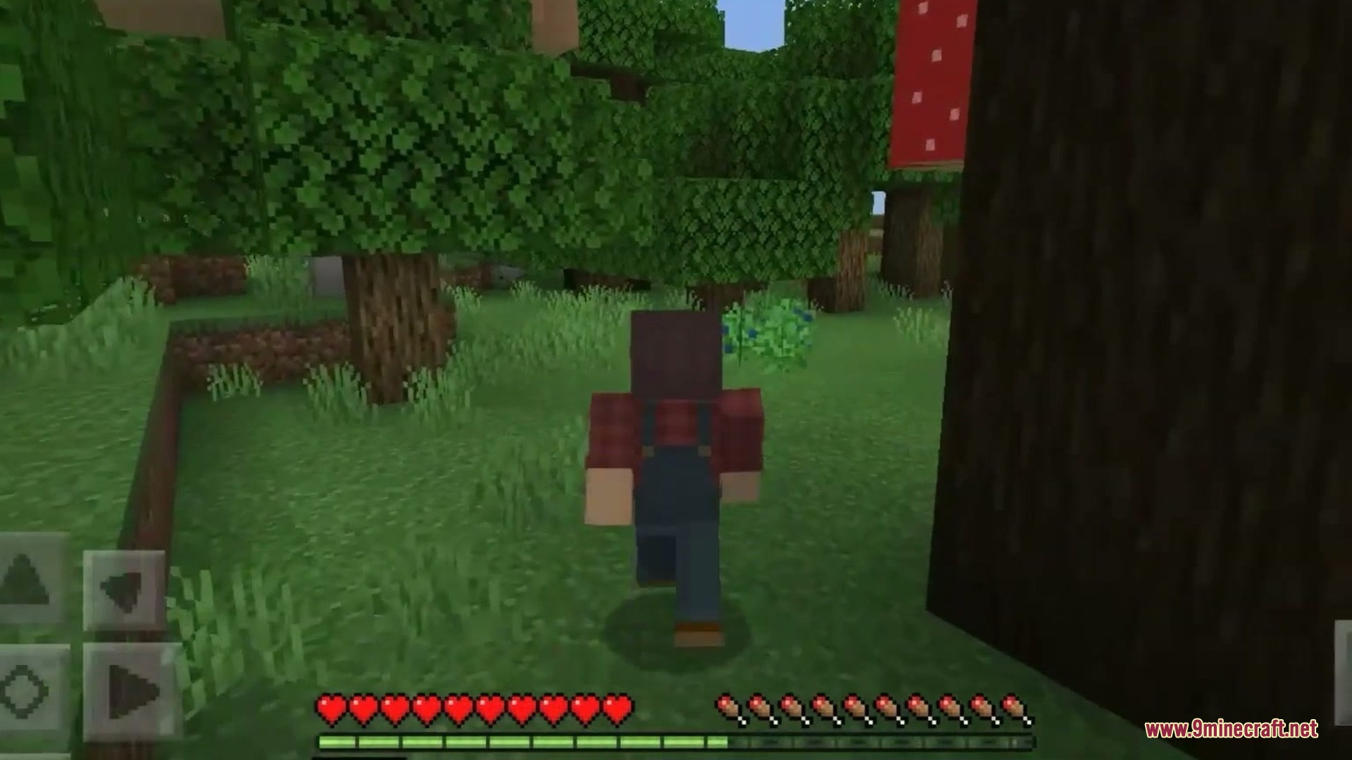 Nature Expasion Addon Screenshot 6 Nature Expasion Addon Screenshot 6