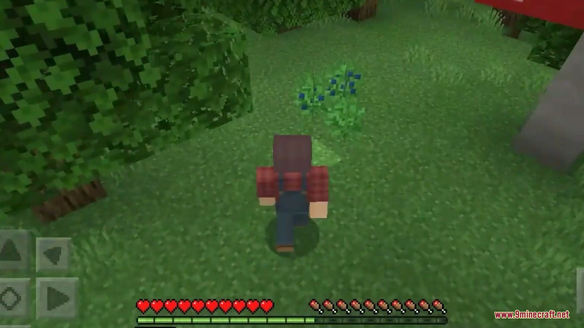 Nature Expasion Addon Screenshot 7 Nature Expasion Addon Screenshot 7
