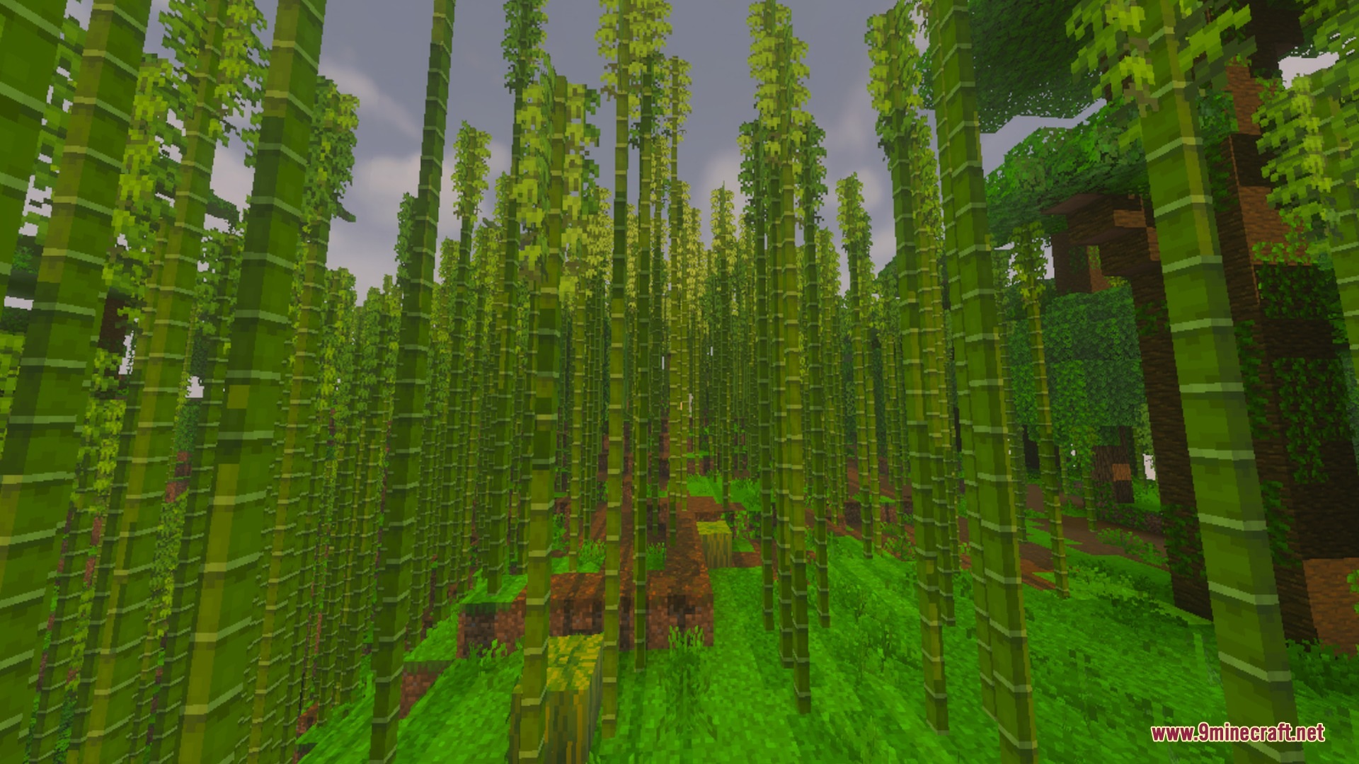 NatureHaze Visuals Shader Screenshot 8