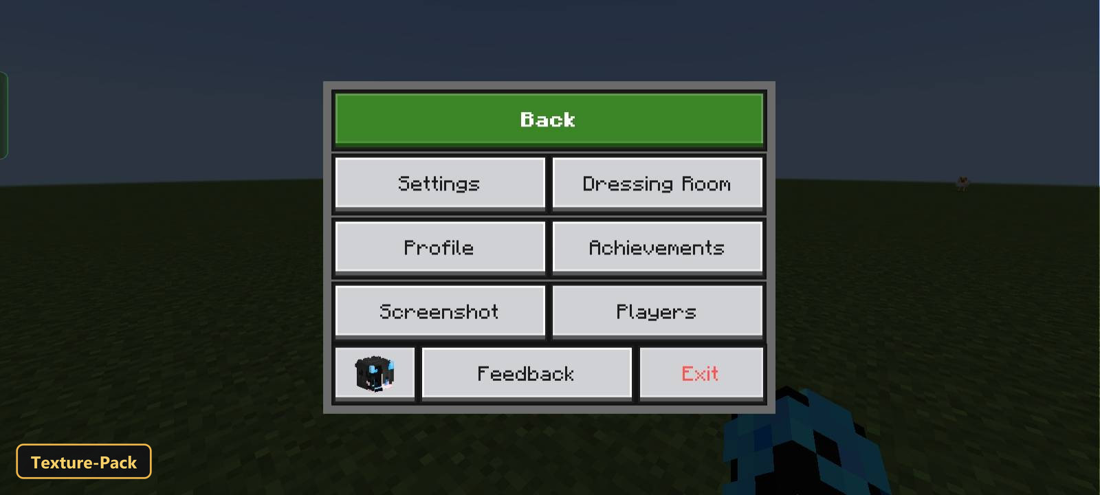 pause menu over flat grassy world, clear sky