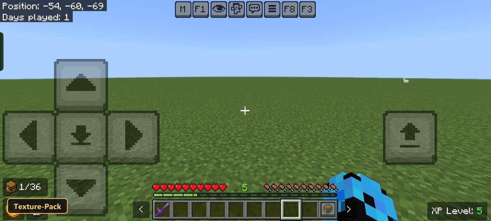 first-person view of flat grassy world, clear sky, with controls