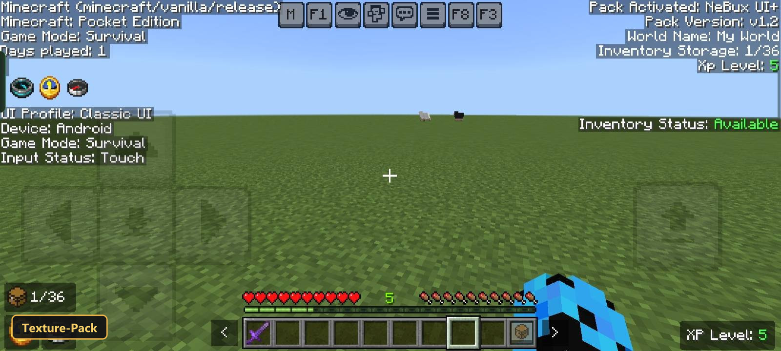 first-person view of flat grassy world, clear sky, with controls and info