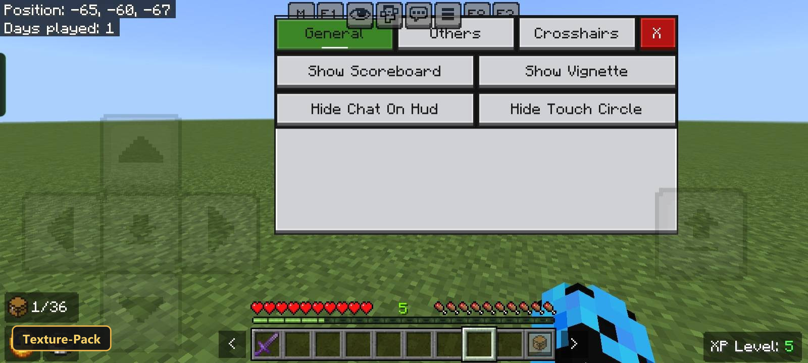 settings menu over flat grassy world, clear sky, with controls