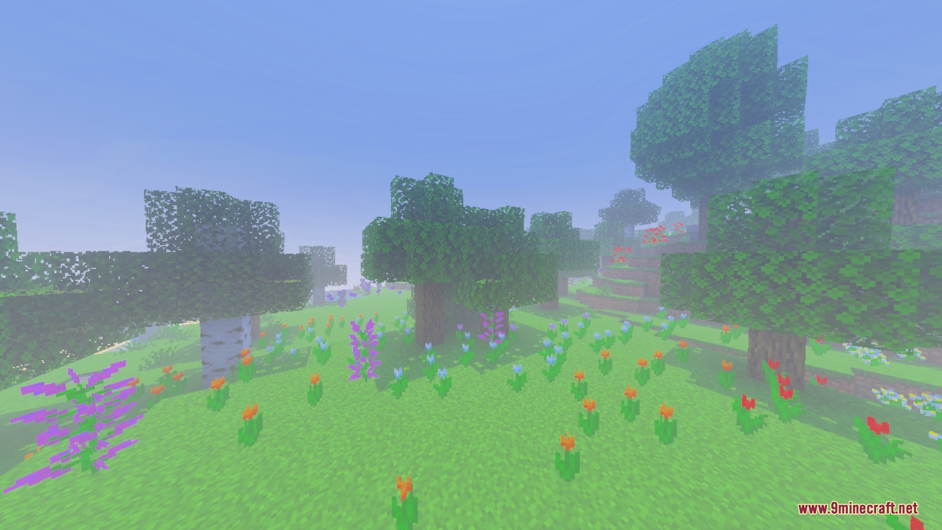 Nebux Visuals Shader Screenshot 10 Colorful flowers bloom in a grassy meadow under a bright foggy sky