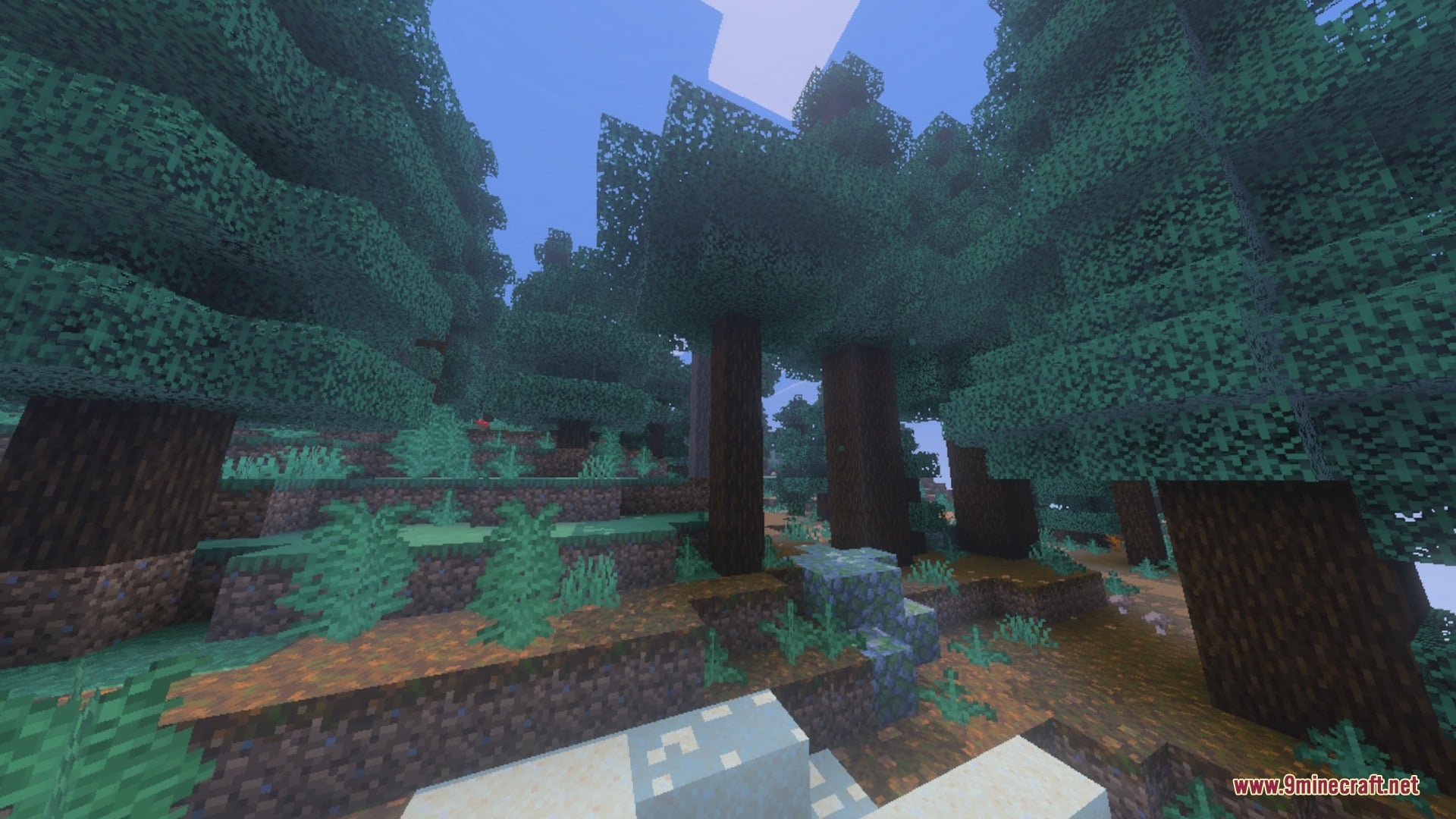 Nebux Visuals Shader Screenshot 7 Dense spruce forest with ferns and mossy cobblestone under soft atmospheric lighting