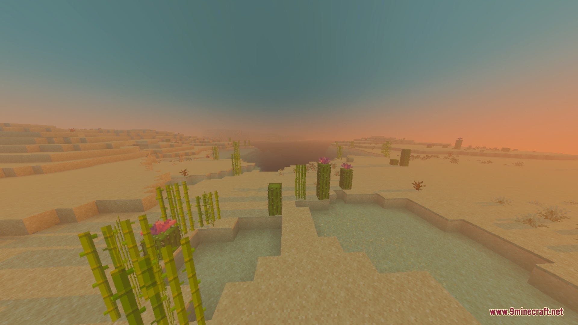 Nebux Visuals Shader Screenshot 8 Sugar cane and cacti growing in a desert under a hazy sunset sky