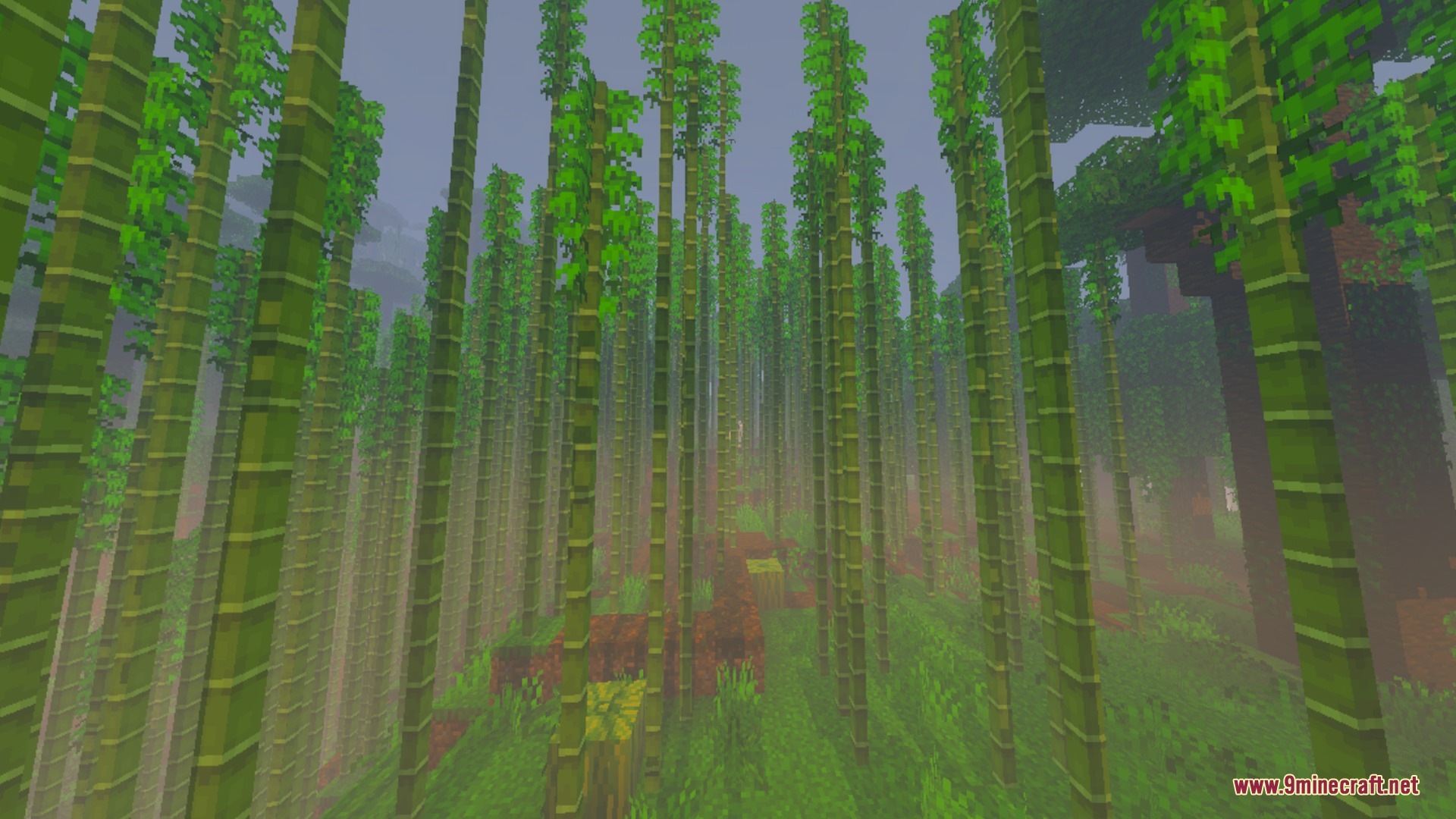 Nebux Visuals Shader Screenshot 9 Tall bamboo stalks grow in a dense forest with misty fog effects
