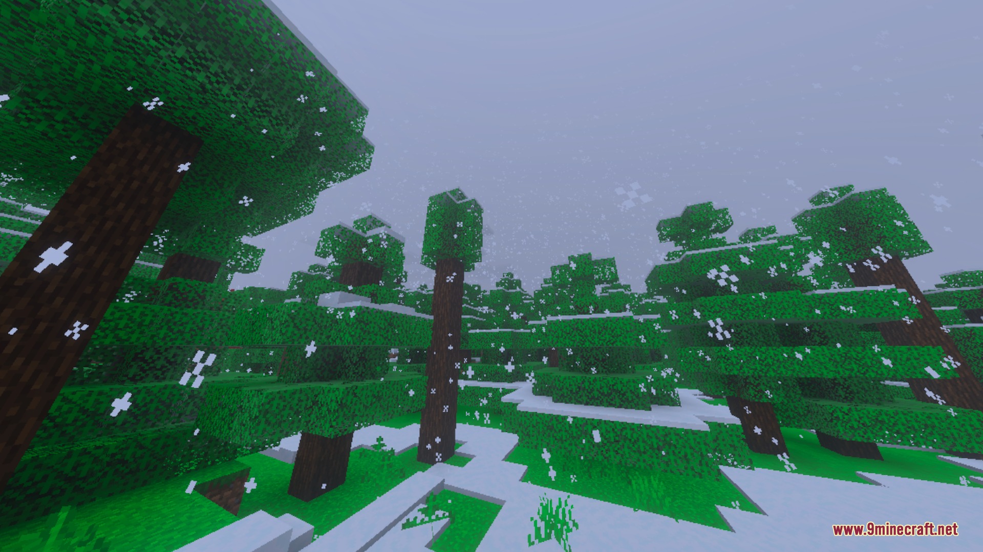 Nether's Optimizer+ Shader Screenshot 10 Snowy forest landscape with falling snowflakes and green trees covered in white snow