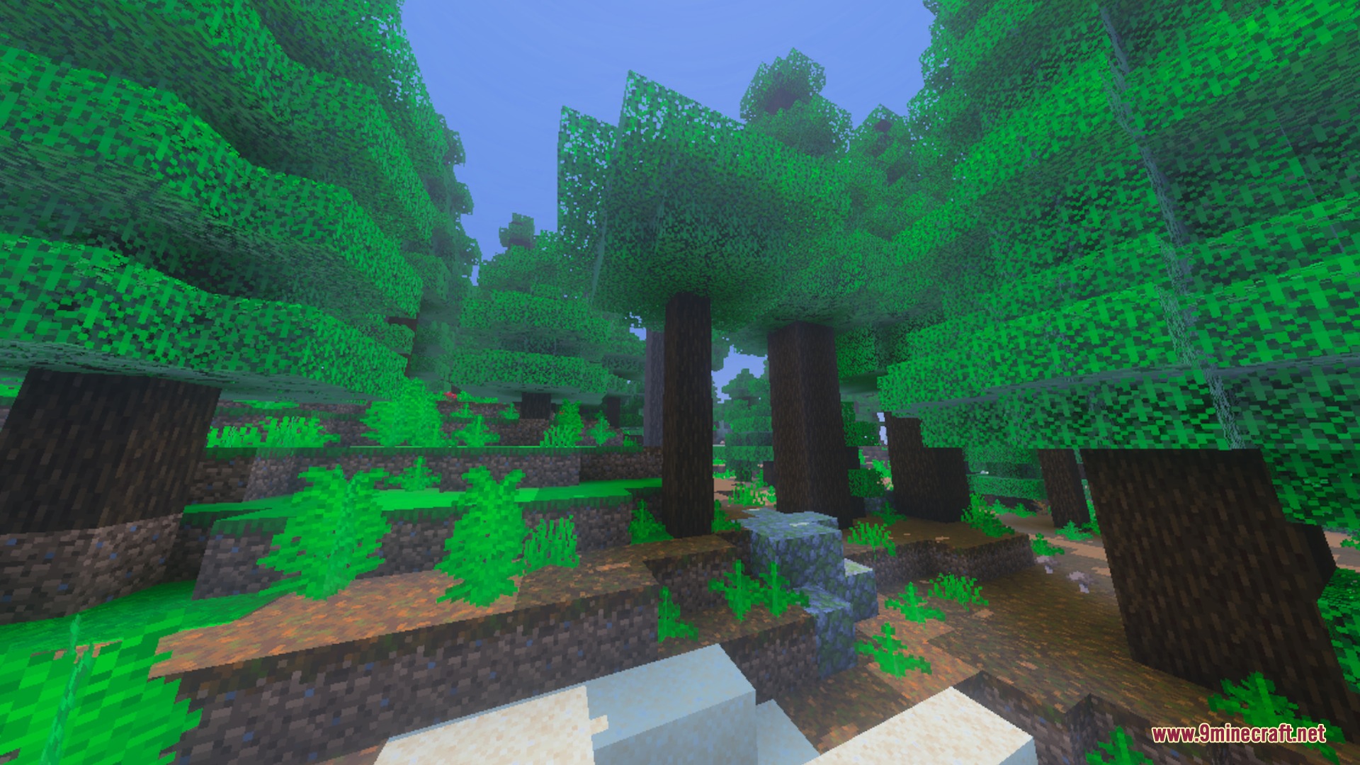 Nether's Optimizer+ Shader Screenshot 7 Lush spruce forest biome featuring natural lighting and clear vanilla textures