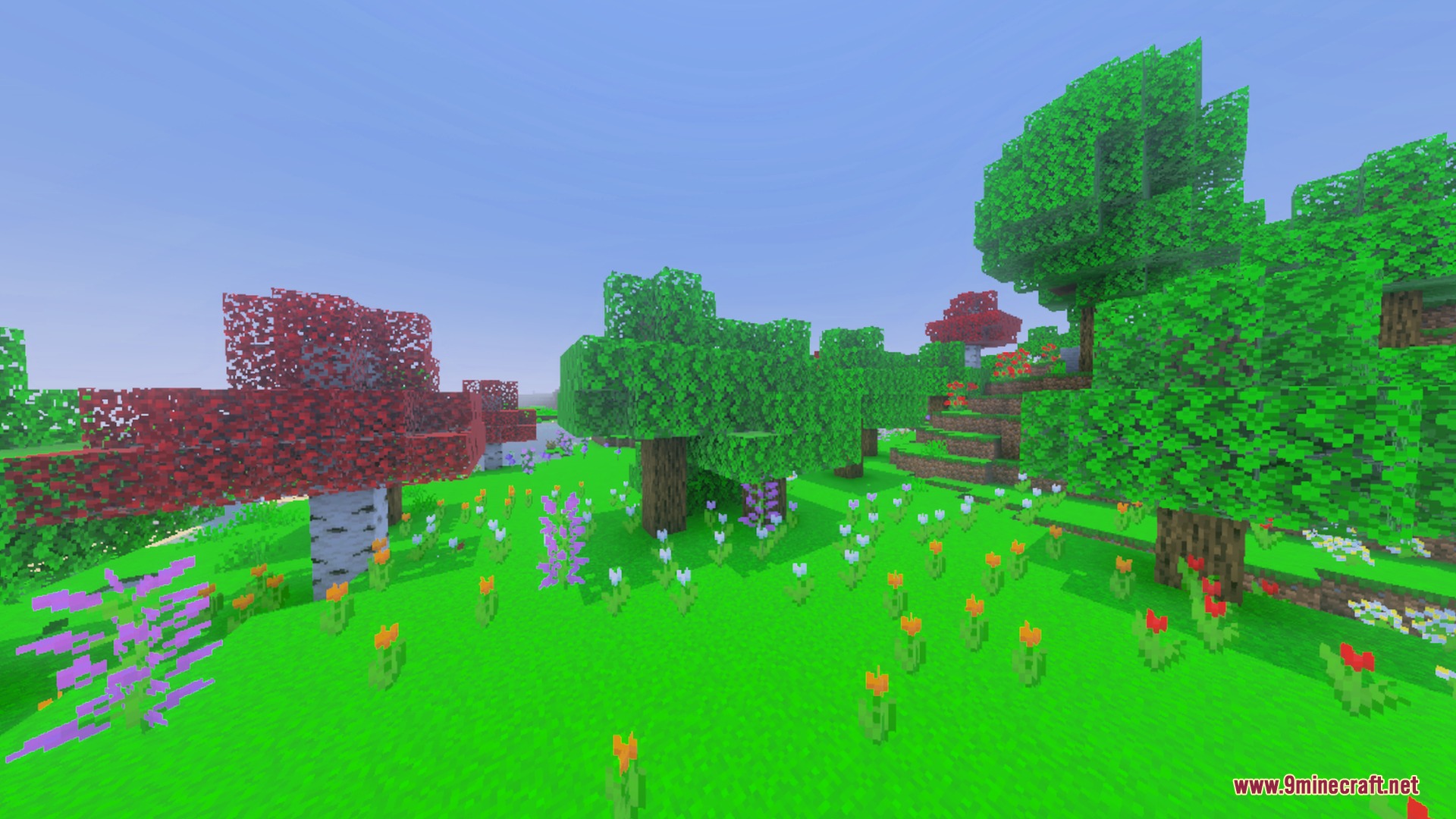 Nether's Optimizer+ Shader Screenshot 9 Vibrant flower forest biome with lush green grass and colorful red trees