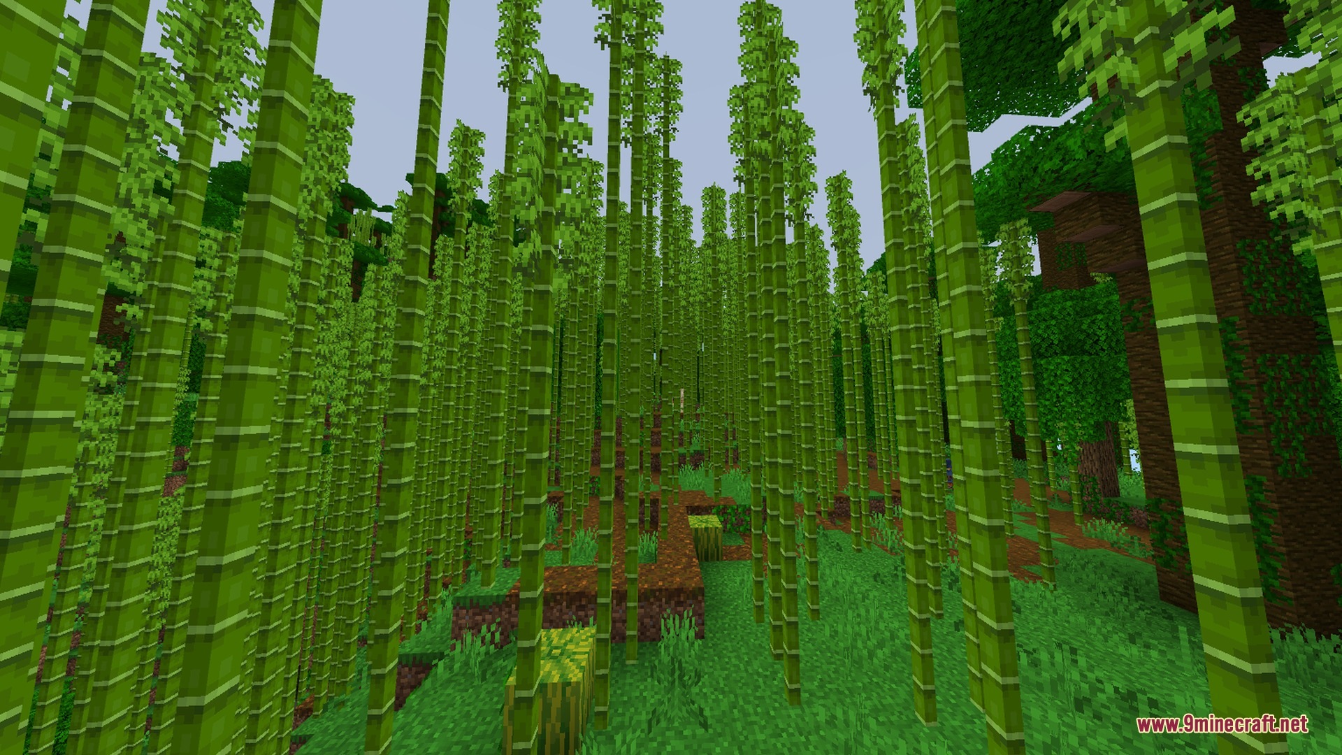 Newb X Golden Legacy Shader Screenshot 4