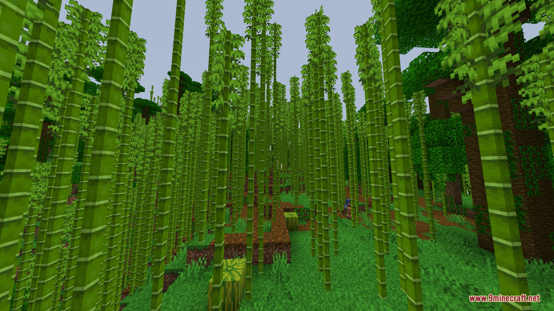 Newb X Manyzz IOS Shader Screenshot 10 Tall bamboo stalks grow in a lush jungle with vibrant green colors
