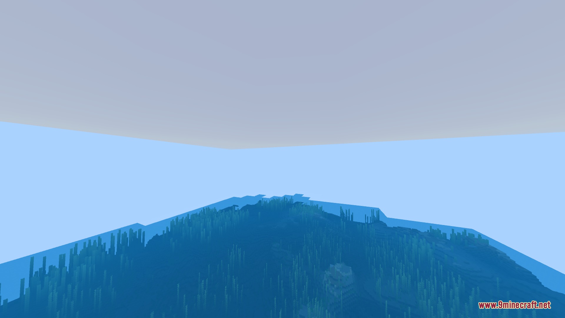 Newb X Manyzz IOS Shader Screenshot 6 Clear blue water showing a dense underwater forest of kelp and seagrass