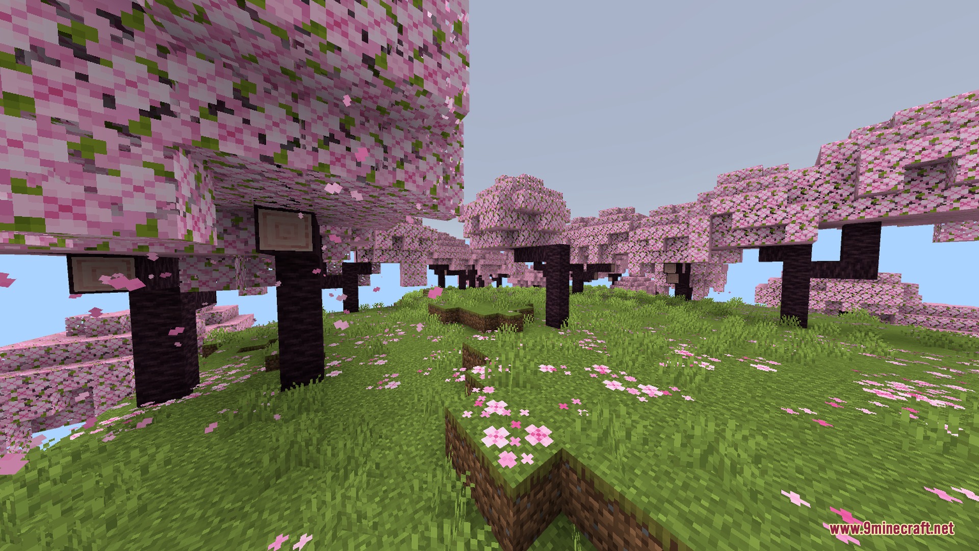 Newb X Manyzz IOS Shader Screenshot 7 Cherry blossom trees with pink leaves and petals scattered across the green grass