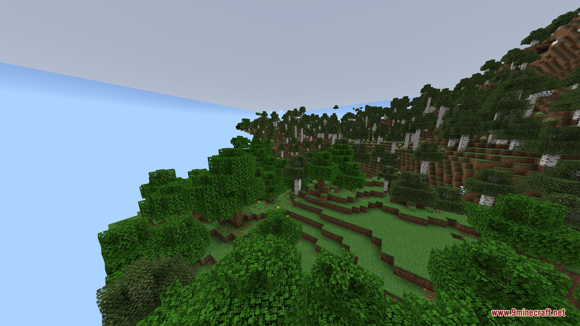 Newb X Manyzz IOS Shader Screenshot 8 A dense forest of oak and birch trees growing on a grassy hill