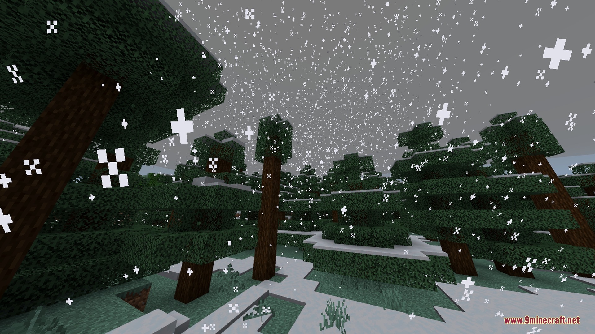 Newb X ZACRAFT Shader Screenshot 5 Heavy snow falls over a spruce forest under a grey overcast sky