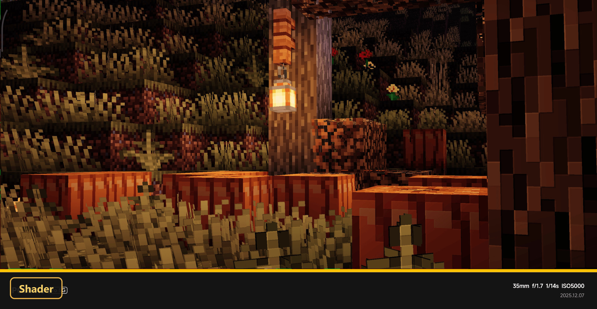 Forest floor with pumpkins, lantern, and tall grass at dusk