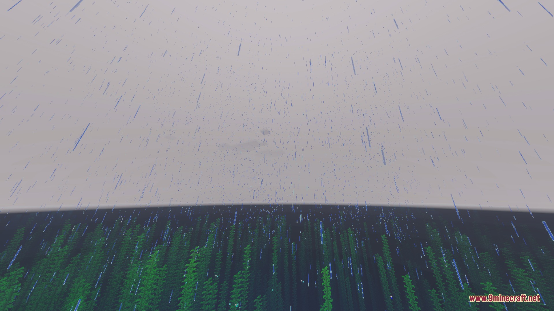 Clear underwater view of kelp with rain falling on the surface