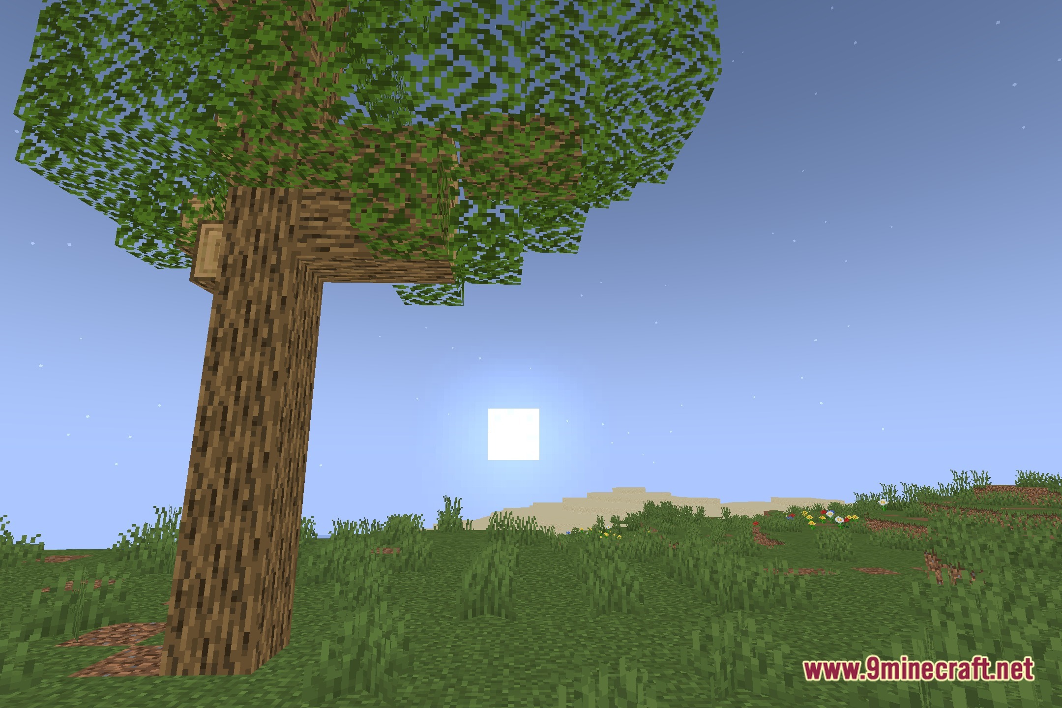 Nimbus Lite Shaders Screenshot 4