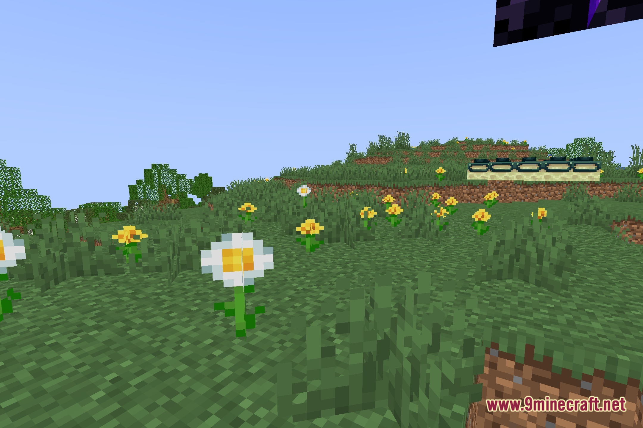 Nimbus Lite Shaders Screenshot 5