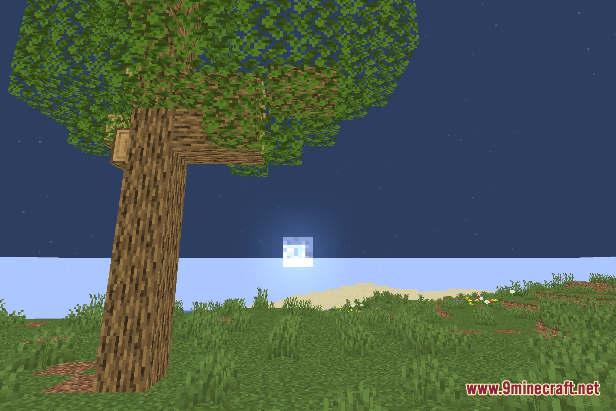 No Blindness Shaders Screenshot 4
