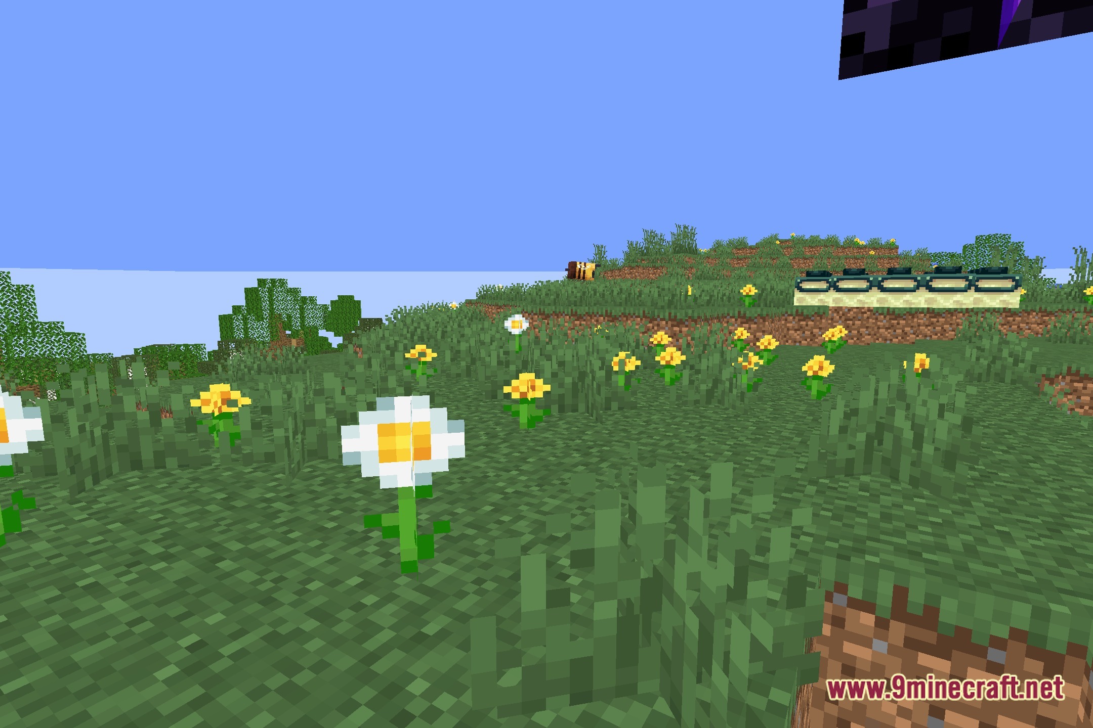 No Blindness Shaders Screenshot 5