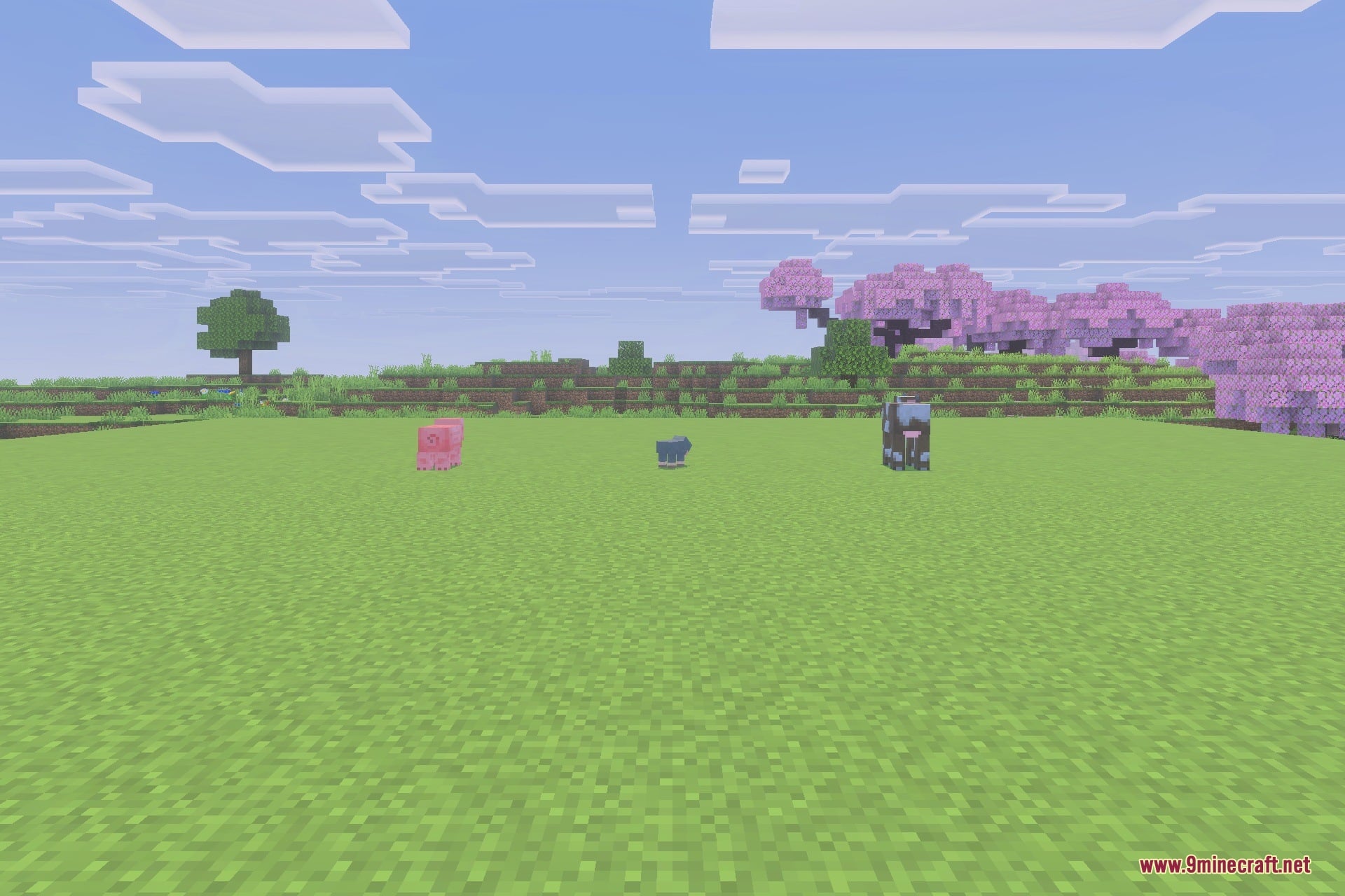 A pink sheep blue sheep and cow stand on a vast green field