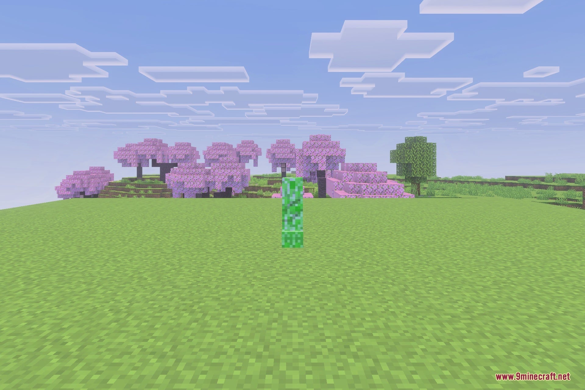 Clear visibility of a creeper and distant cherry blossom trees without any fog