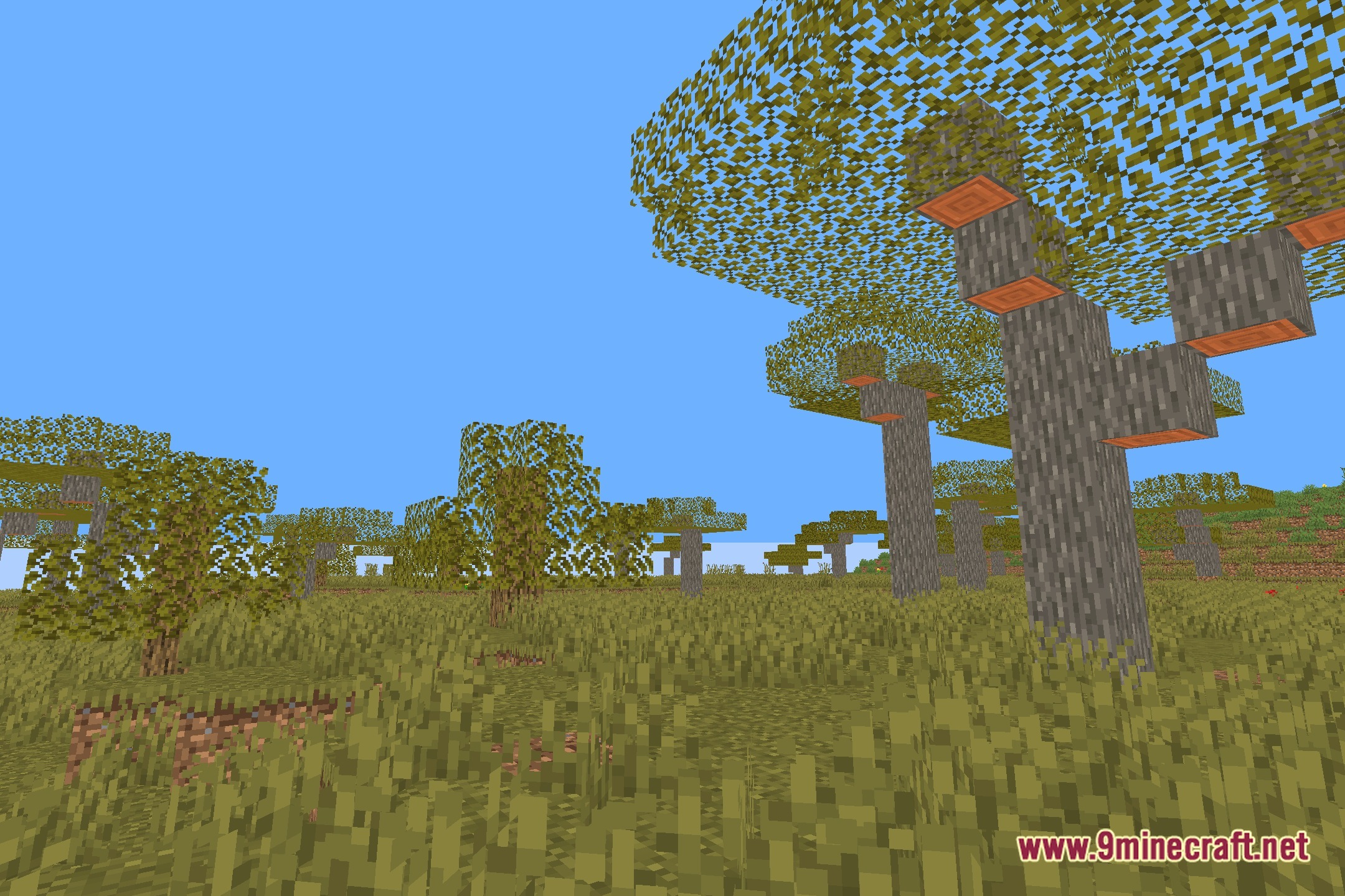 NoUnderwaterFog Shaders Screenshot 11
