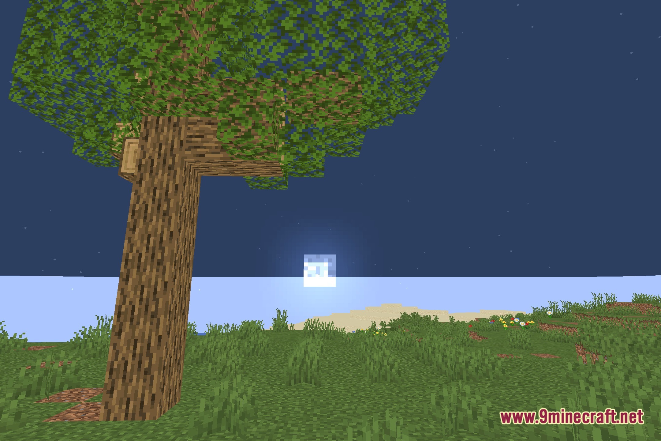 NoUnderwaterFog Shaders Screenshot 3