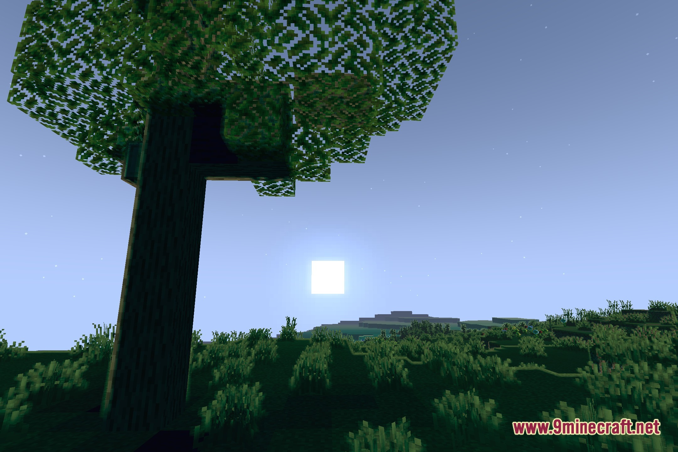 Noodleshader Screenshot 4