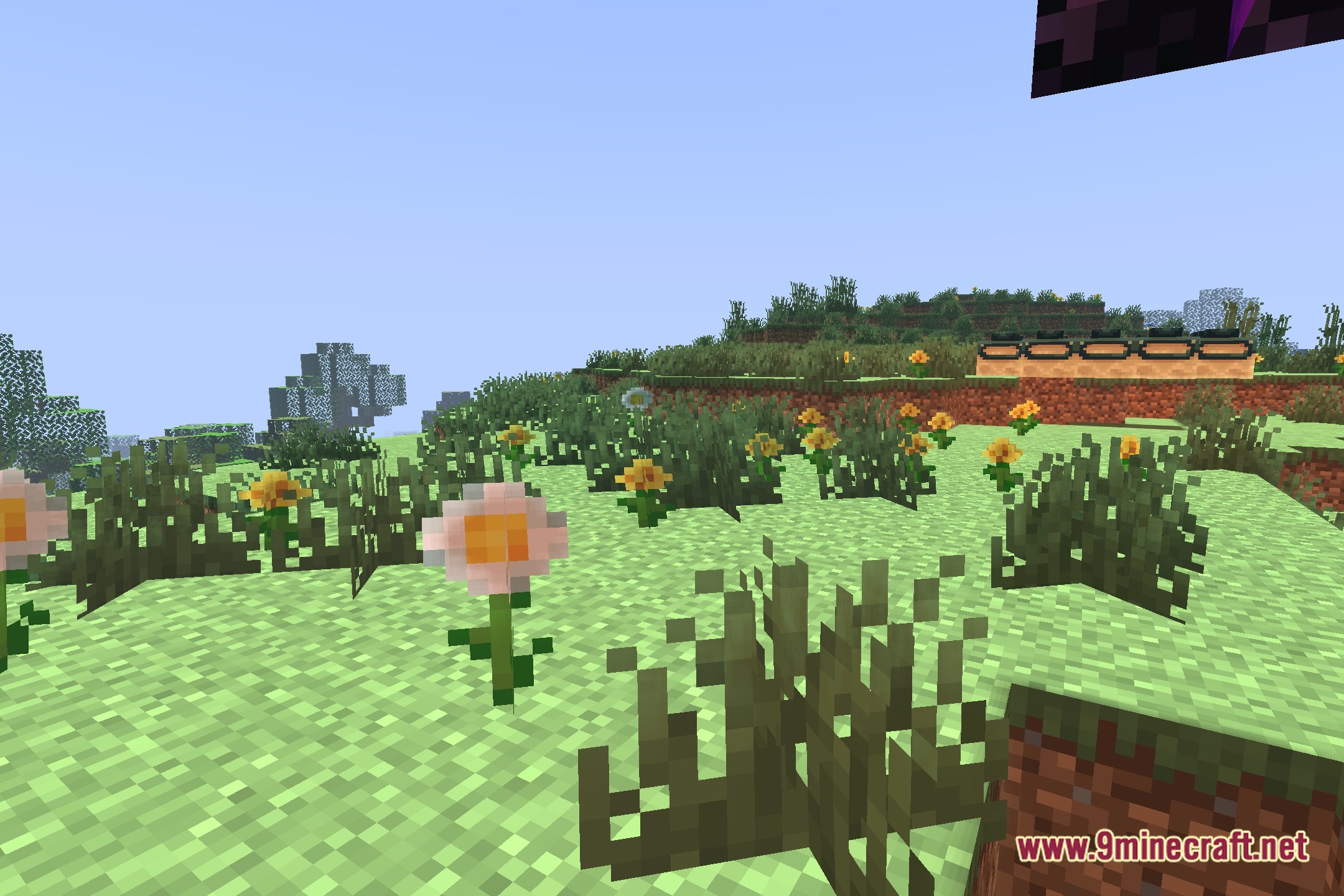 Noodleshader Screenshot 5