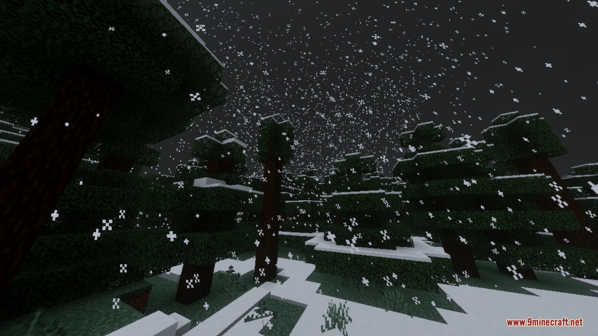 Heavy snow falling in a dark taiga forest during a cold night