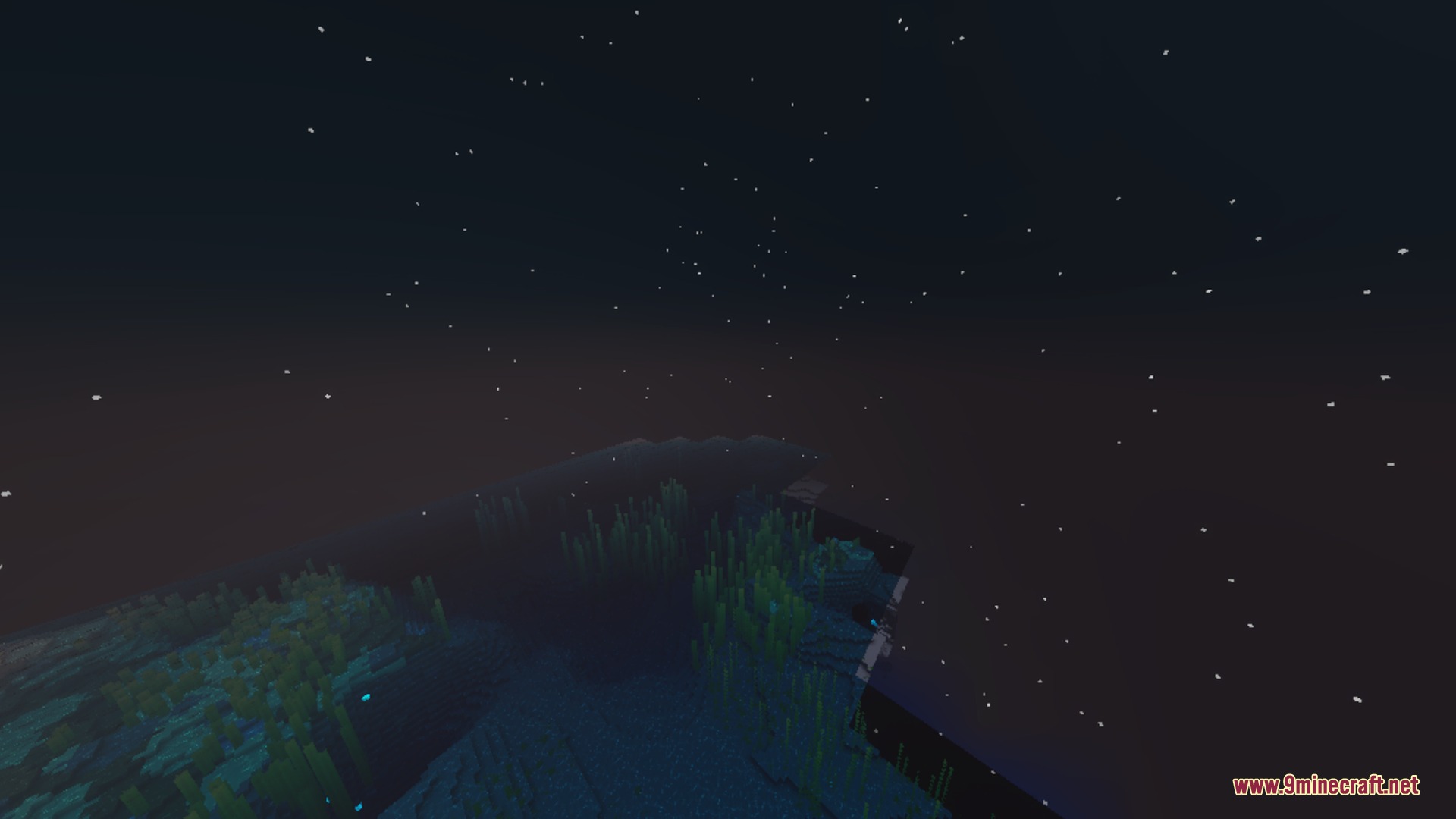 Dark night sky with stars over a glowing underwater landscape with seagrass
