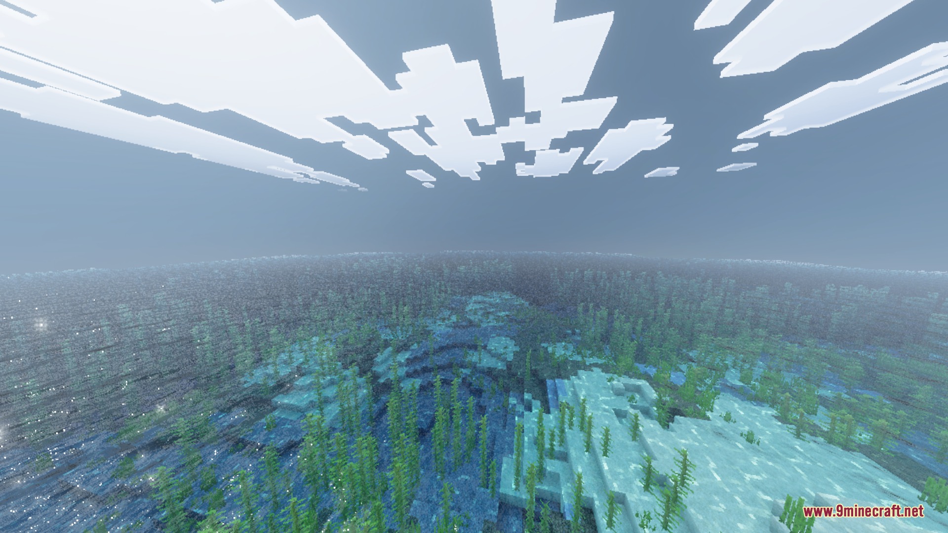 Bright daylight over a clear ocean filled with green seagrass and blocky clouds